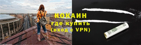 стаф Няндома