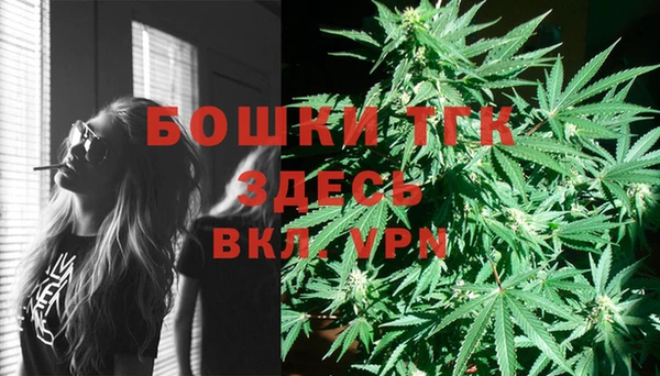 стаф Няндома
