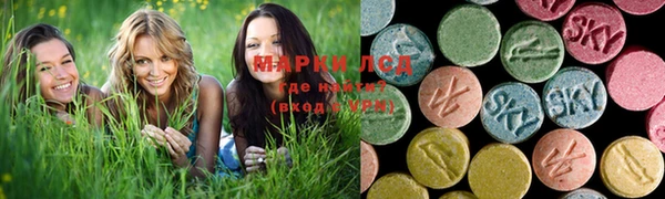 стаф Няндома