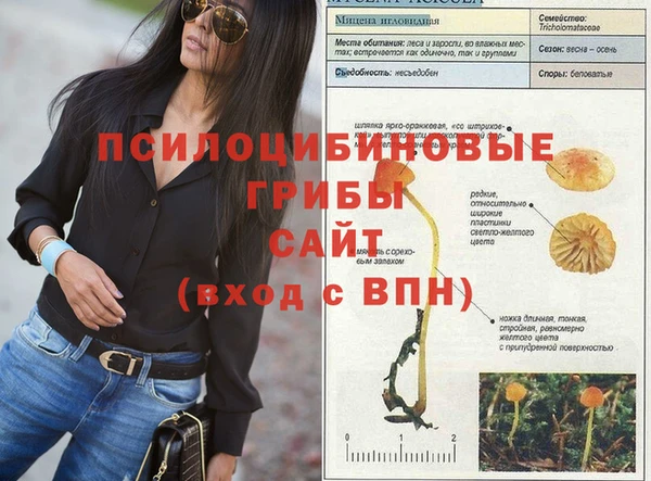 бутират Нязепетровск