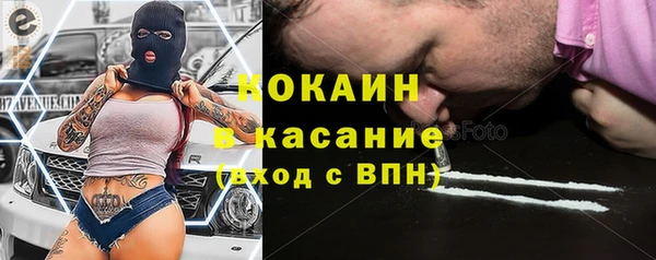 стаф Няндома