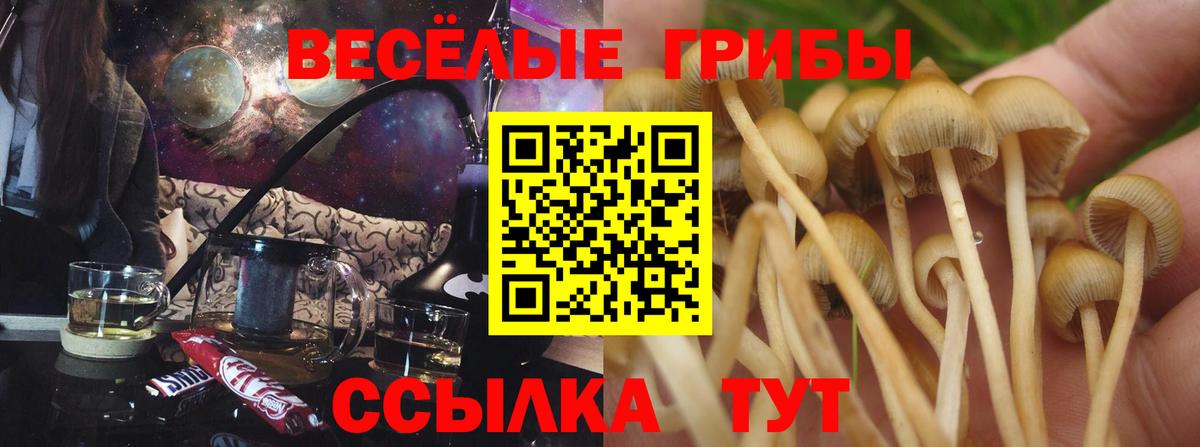 Псилоцибиновые грибы Cubensis  Вход с VPN  Бахчисарай  продажа наркотиков  Галлюциногенные грибы MAGIC MUSHROOMS 